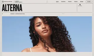 Preview of the Alterna Case Study