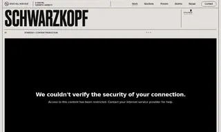 Preview of the Schwarzkopf Case Study