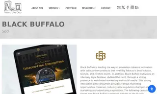 Preview of the Black Buffalo Case Study