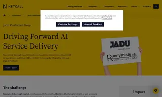 Preview of the Runnymede Borough Council Case Study