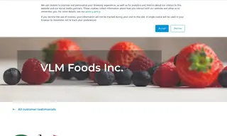 Preview of the VLM Foods Case Study