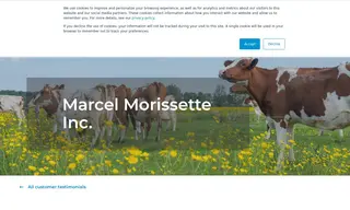 Preview of the Marcel Morissette Inc Case Study