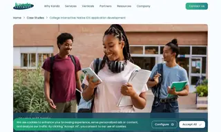 Preview of the College Interactive Case Study