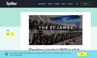 Preview of the The St. James Case Study