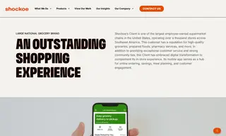 Preview of the Large National Grocery Brand Case Study