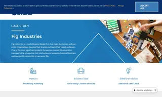 Preview of the Fig Industries Case Study