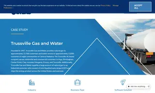 Preview of the Trussville Gas and Water Case Study