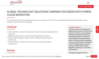Preview of the Global Technology Solutions Company Case Study