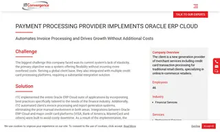 Preview of the Payment Processing Provider Case Study