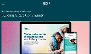 Preview of the NephCure Case Study