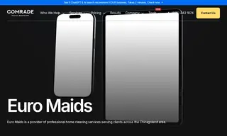Preview of the Euro Maids Case Study