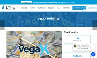 Preview of the VegaX Holdings Case Study