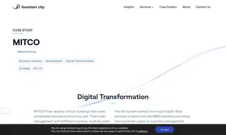 Preview of the Mitco Case Study