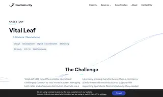 Preview of the VitalLeaf CBD Case Study