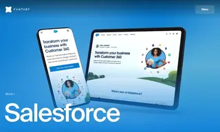 Preview of the Salesforce Case Study