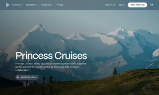 Preview of the Princess Cruises Case Study