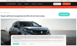 Preview of the Peugeot Case Study