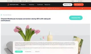 Preview of the Chemist Warehouse Case Study