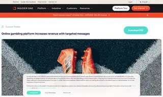 Preview of the Online Gambling Platform Case Study