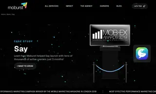 Preview of the Say Case Study