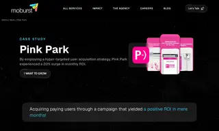 Preview of the Pink Park Case Study
