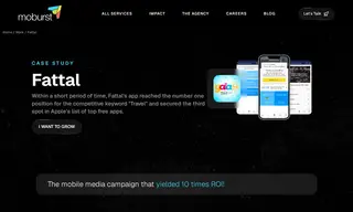 Preview of the Fattal Case Study