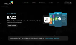 Preview of the BAZZ Case Study