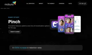 Preview of the Pinch Case Study