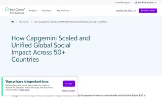 Preview of the Capgemini Case Study