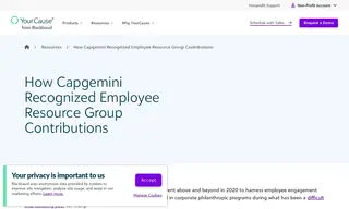 Preview of the Capgemini Case Study