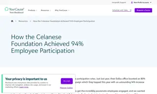 Preview of the Celanese Case Study