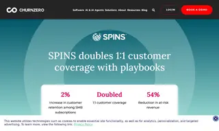 Preview of the Spins Case Study