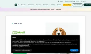 Preview of the Musti Group Case Study