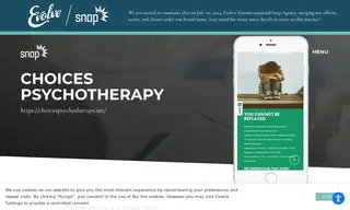 Preview of the Choices Psychotherapy Case Study