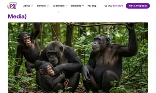 Preview of the Arcus Foundation Case Study
