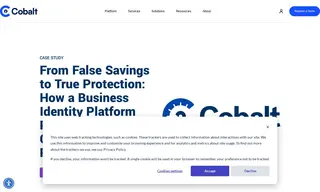 Preview of the Astra Security Case Study
