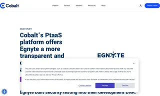 Preview of the Egnyte Case Study