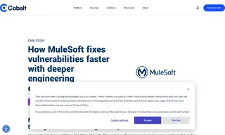 Preview of the MuleSoft Case Study