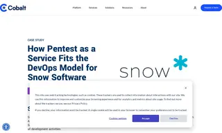 Preview of the Snow Software Case Study