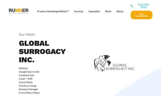 Preview of the Global Surrogacy Inc Case Study