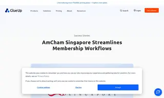 Preview of the AmCham Singapore Case Study