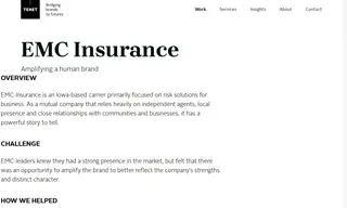 Preview of the EMC Insurance Case Study