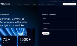 Preview of the U.S. Retailer Case Study