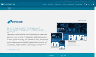 Preview of the Franklin Valve Case Study