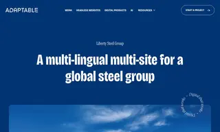 Preview of the Liberty Steel Group Case Study