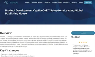 Preview of the Leading Global Publishing House Case Study