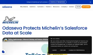 Preview of the Michelin Case Study