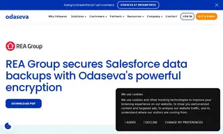 Preview of the REA Group Case Study