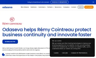 Preview of the Rémy Cointreau Case Study