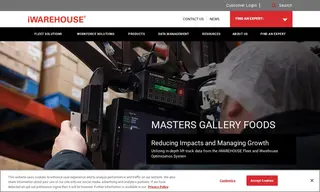 Preview of the Masters Gallery Foods Case Study